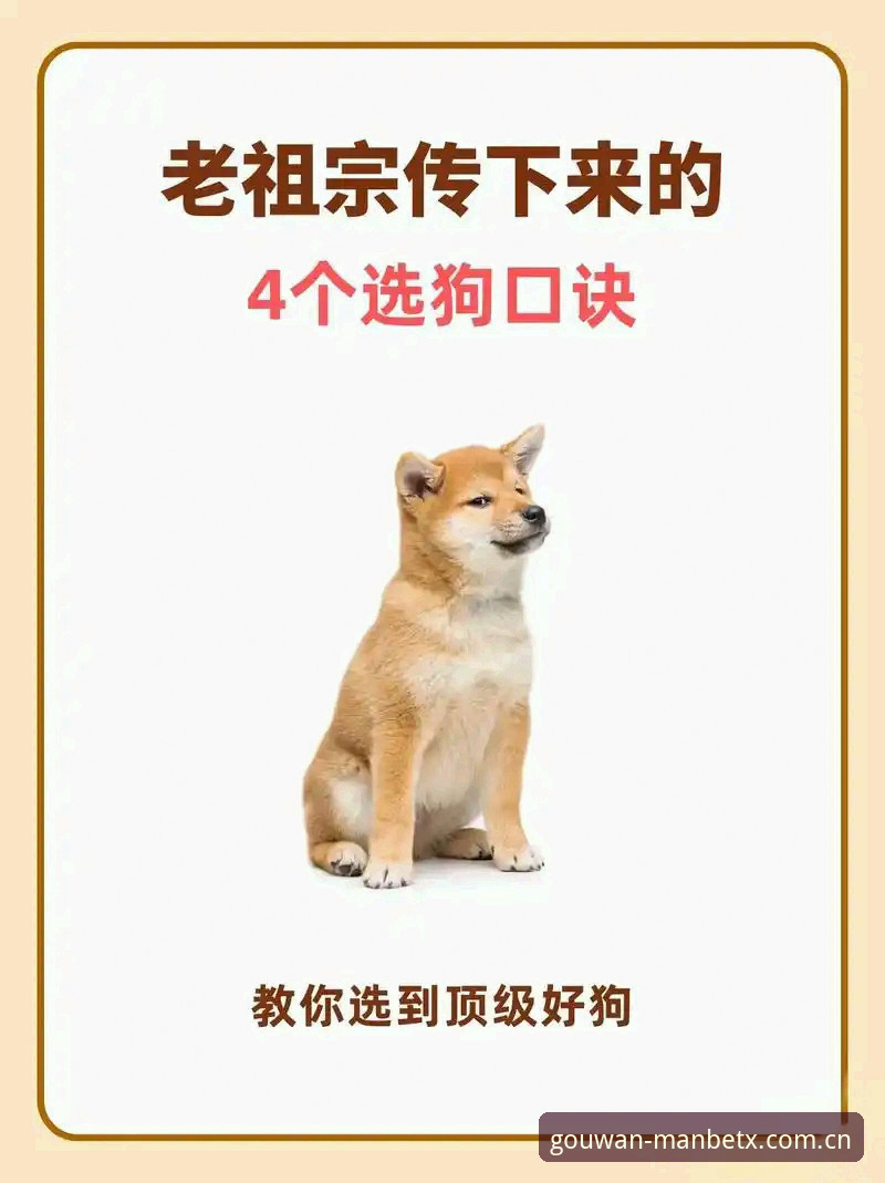 最新狗万manbetx入口 5个实用方法助你找到狗万manbetx最新官网入口,老用户亲测有效